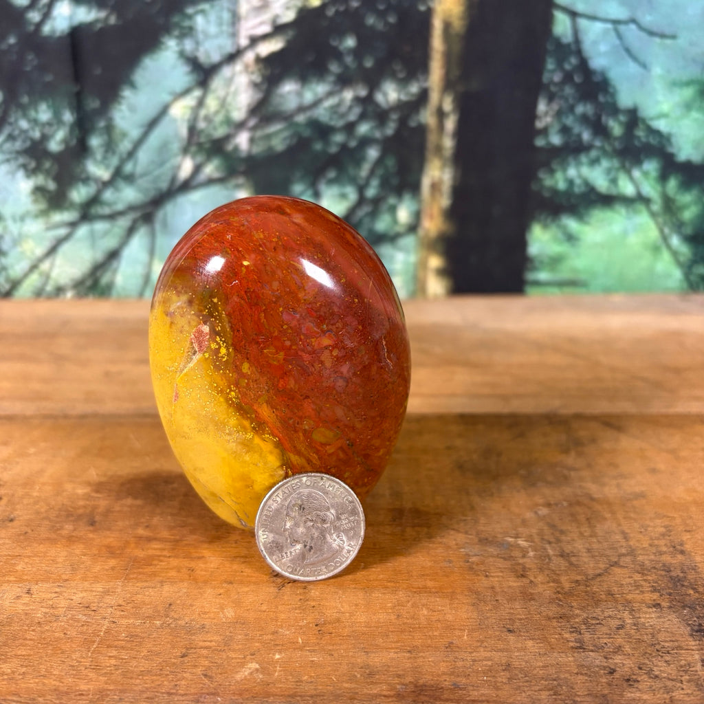 Mookaite Jasper freeform shown with quarter for scale