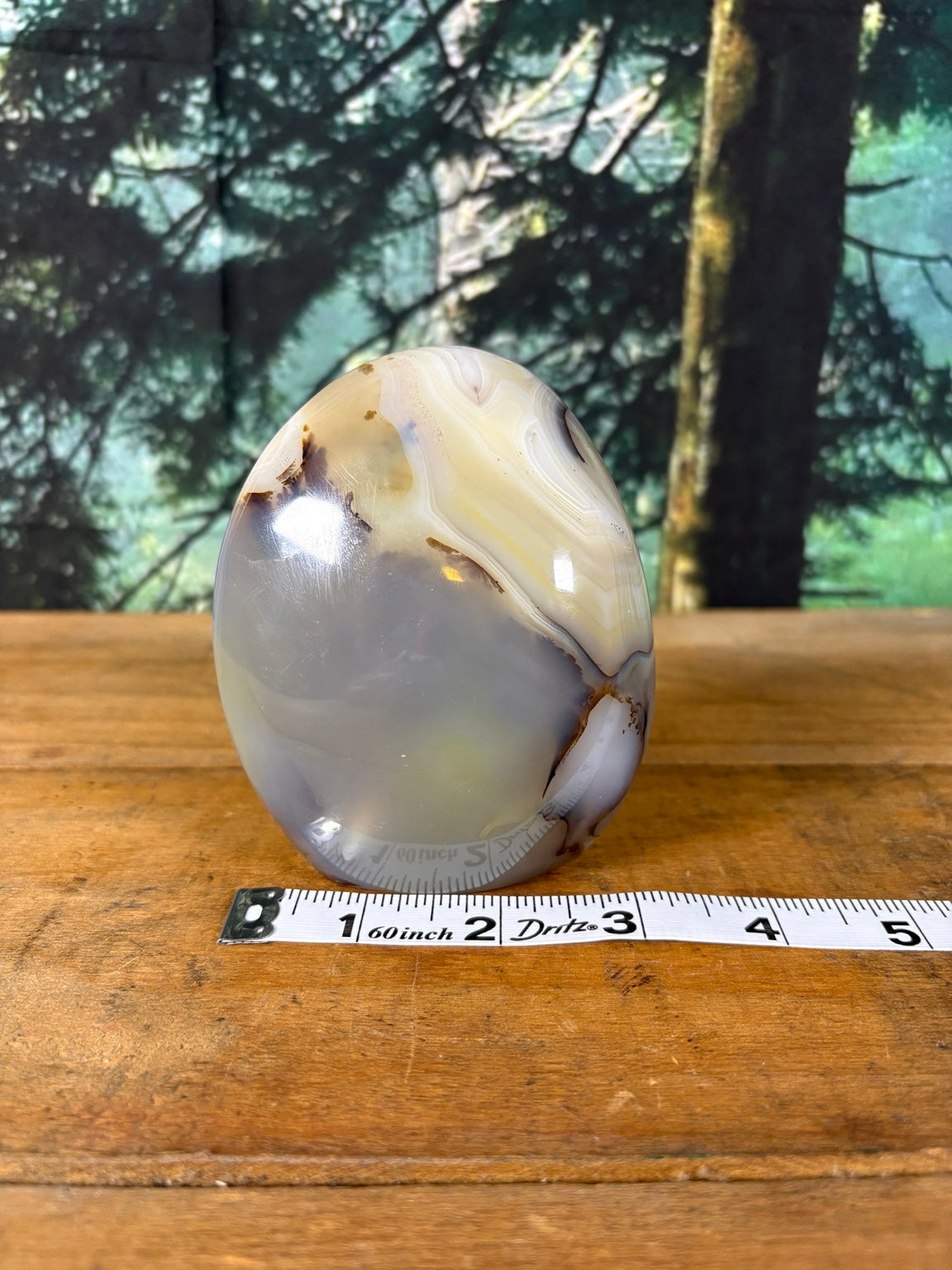 Cream and lavender banded agate freeform front view with measurements