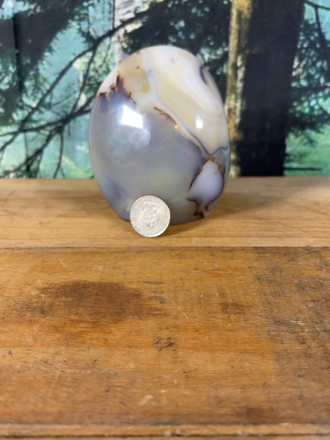 Cream and lavender banded agate freeform with quarter for scale