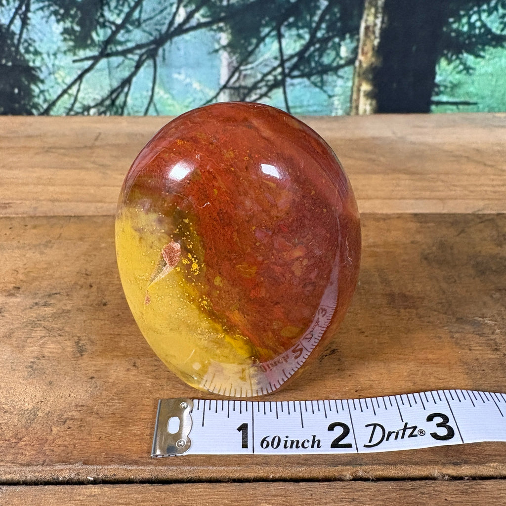 Mookaite Jasper freeform width measurement