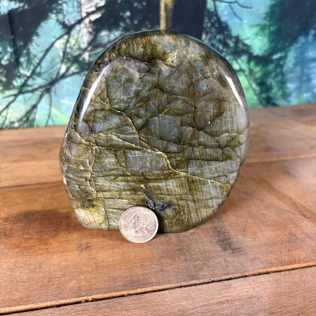 Golden Flash Labradorite Freeform – 2 lb 3.5 oz