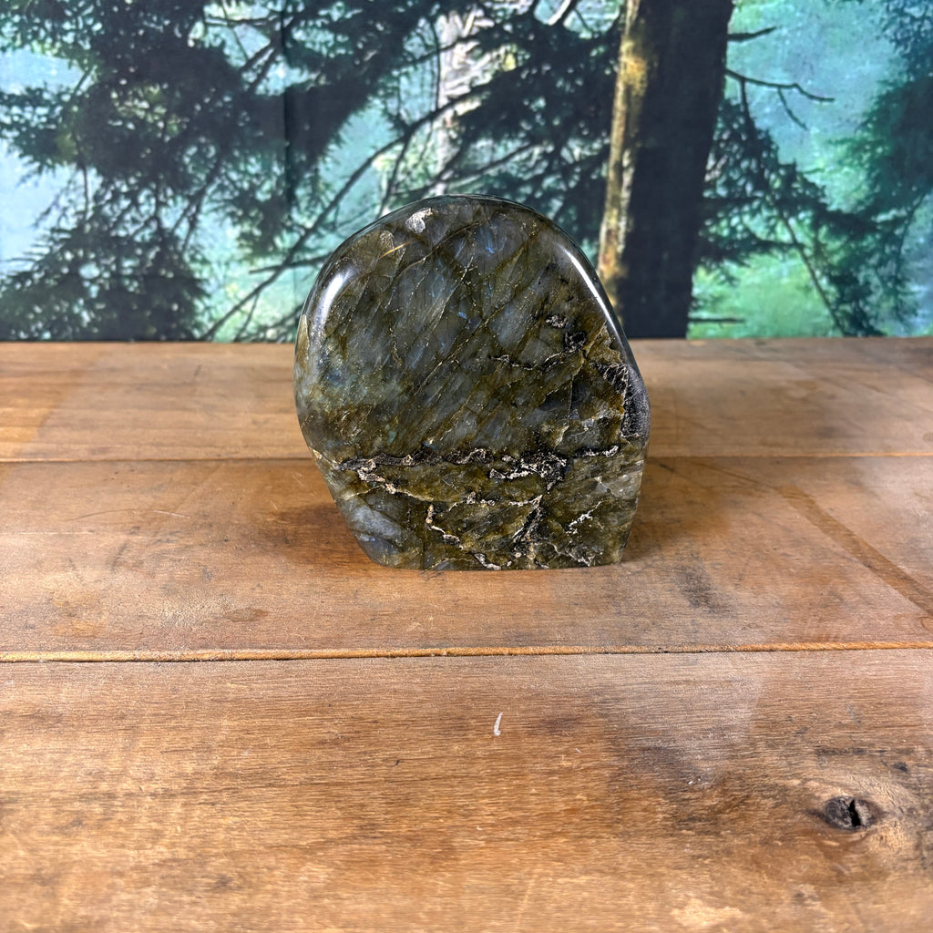 Golden Flash Labradorite Freeform – 2 lb 3.5 oz