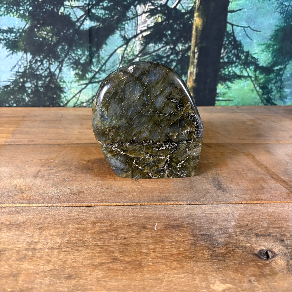 Golden Flash Labradorite Freeform – 2 lb 3.5 oz