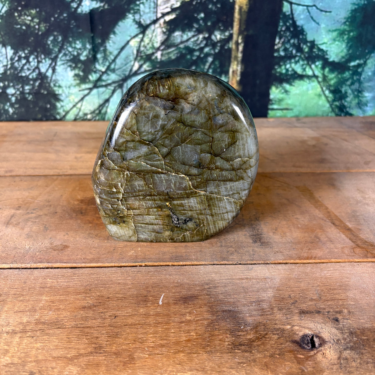 Golden Flash Labradorite Freeform – 2 lb 3.5 oz
