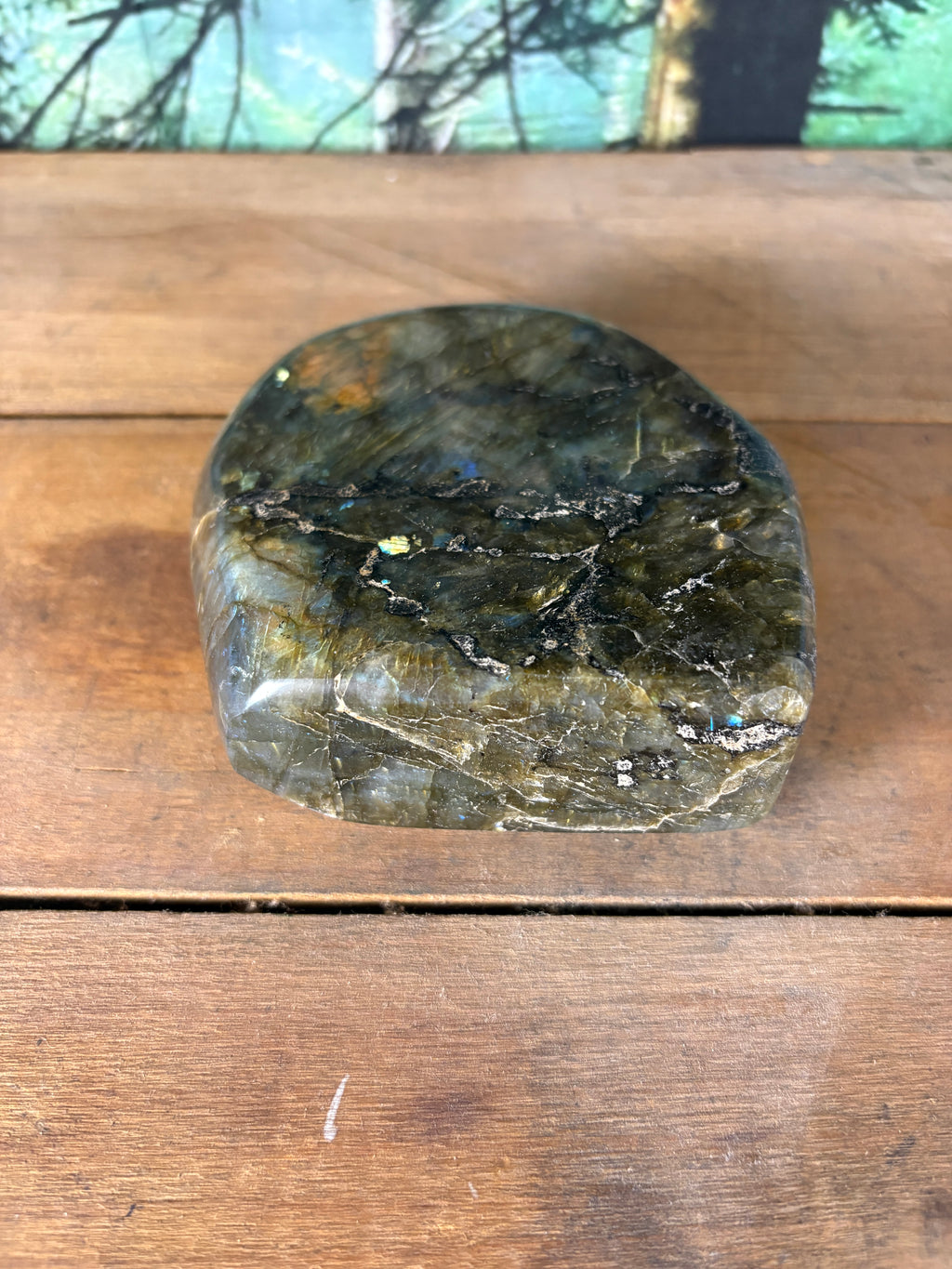 Golden Flash Labradorite Freeform – 2 lb 3.5 oz