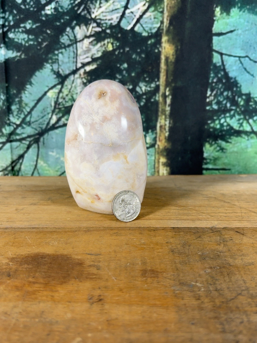 Pink Flower Agate Druzy Freeform with quarter for scale