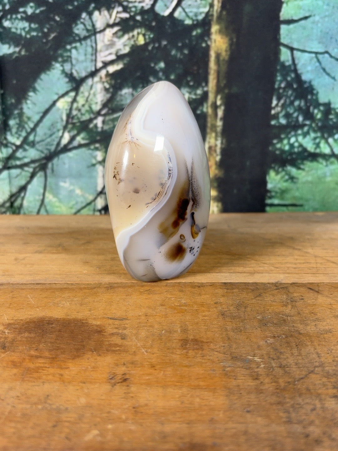Large dendritic agate freeform 1 lb 11.6 oz, view 4 of 9