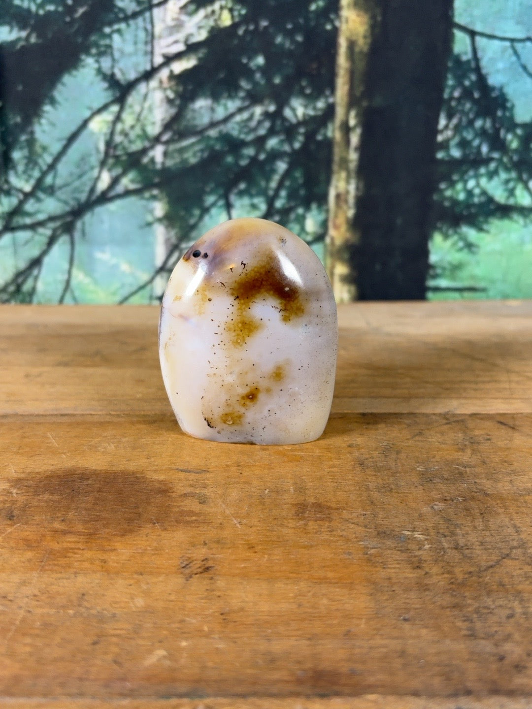 Cream blush dendritic agate freeform 5.9 oz, view 3 of 9