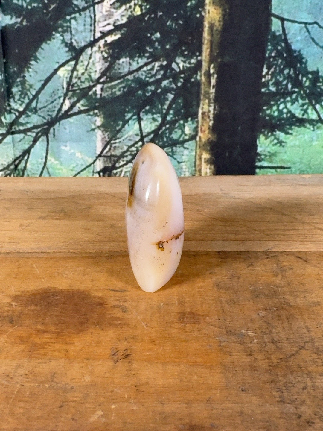Cream blush dendritic agate freeform 5.9 oz, view 4 of 9
