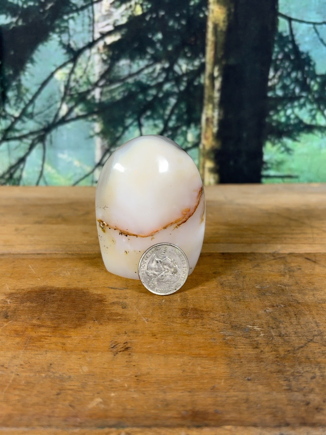 Cream blush dendritic agate freeform 5.9 oz, view 5 of 9