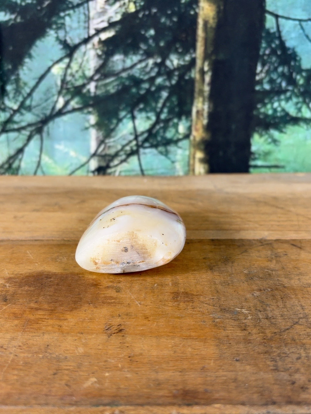 Cream blush dendritic agate freeform 5.9 oz, view 6 of 9