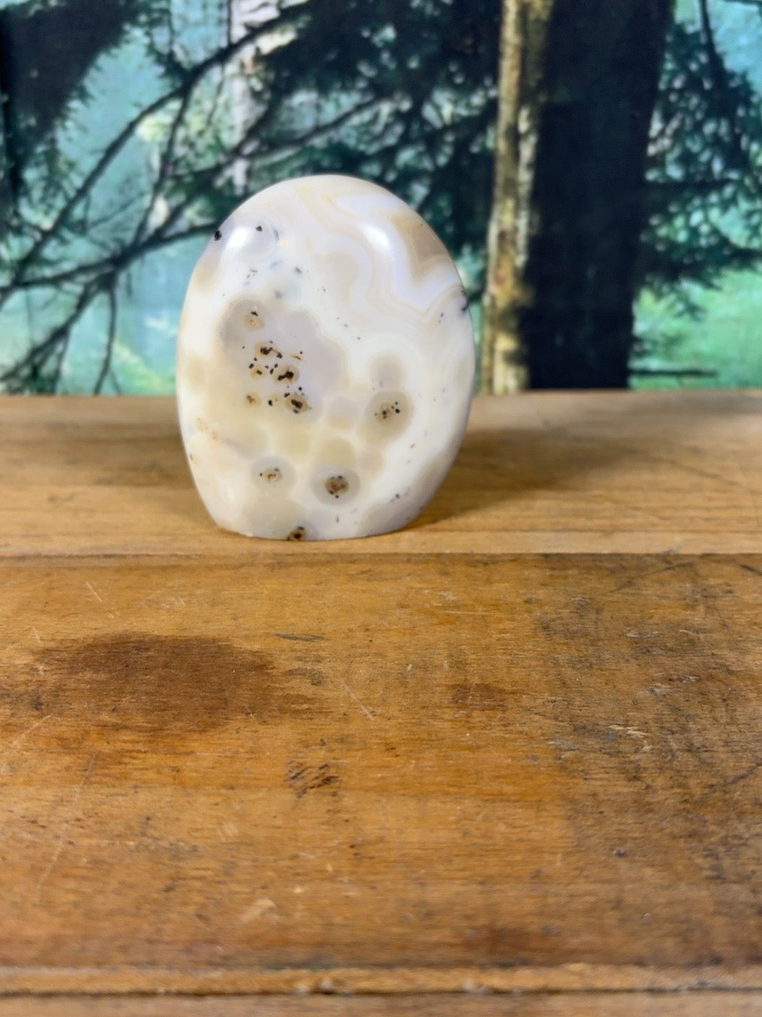 Cream orbicular dendritic agate freeform DAG-FR-003 view 1