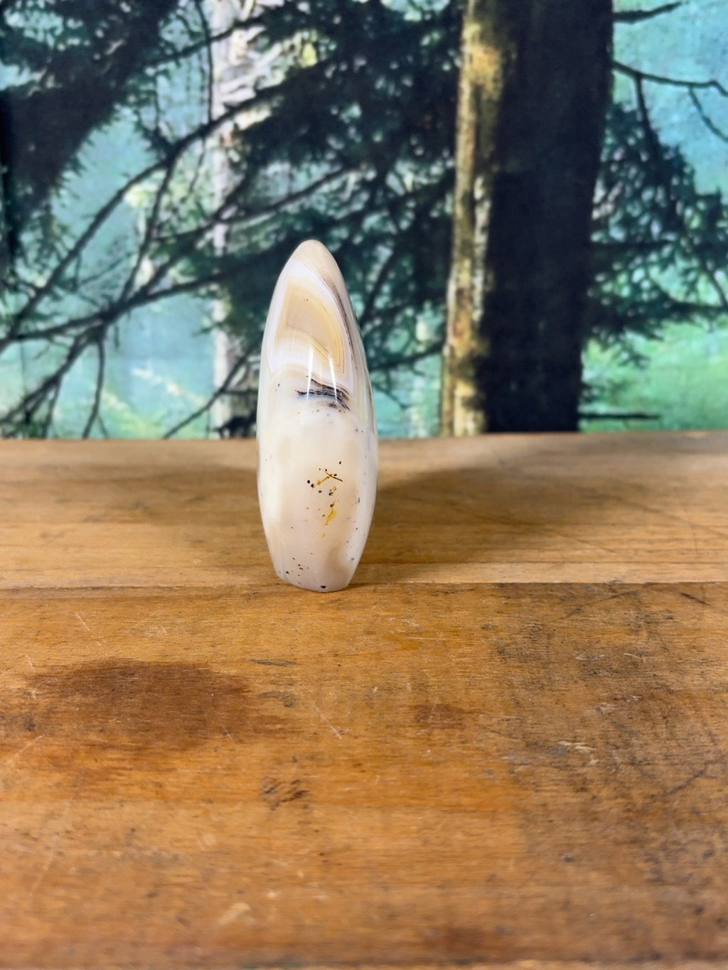 Cream orbicular dendritic agate freeform DAG-FR-003 view 2