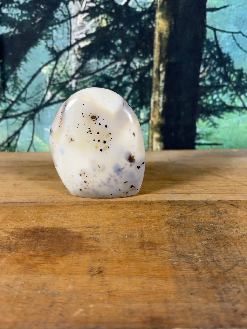 Cream orbicular dendritic agate freeform DAG-FR-003 view 3