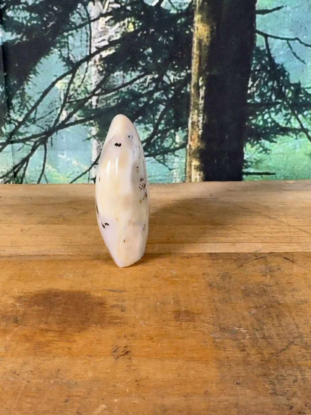 Cream orbicular dendritic agate freeform DAG-FR-003 view 4