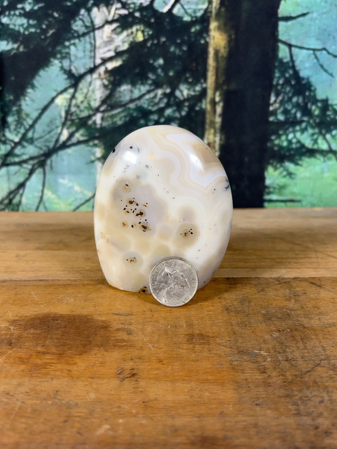 Cream orbicular dendritic agate freeform DAG-FR-003 view 5