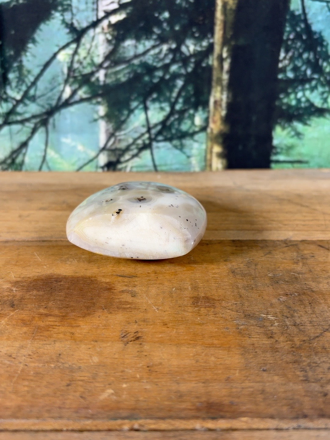 Cream orbicular dendritic agate freeform DAG-FR-003 view 6