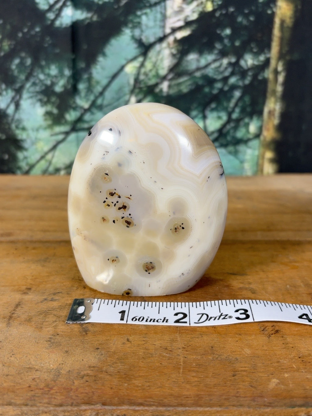 Cream orbicular dendritic agate freeform DAG-FR-003 view 7