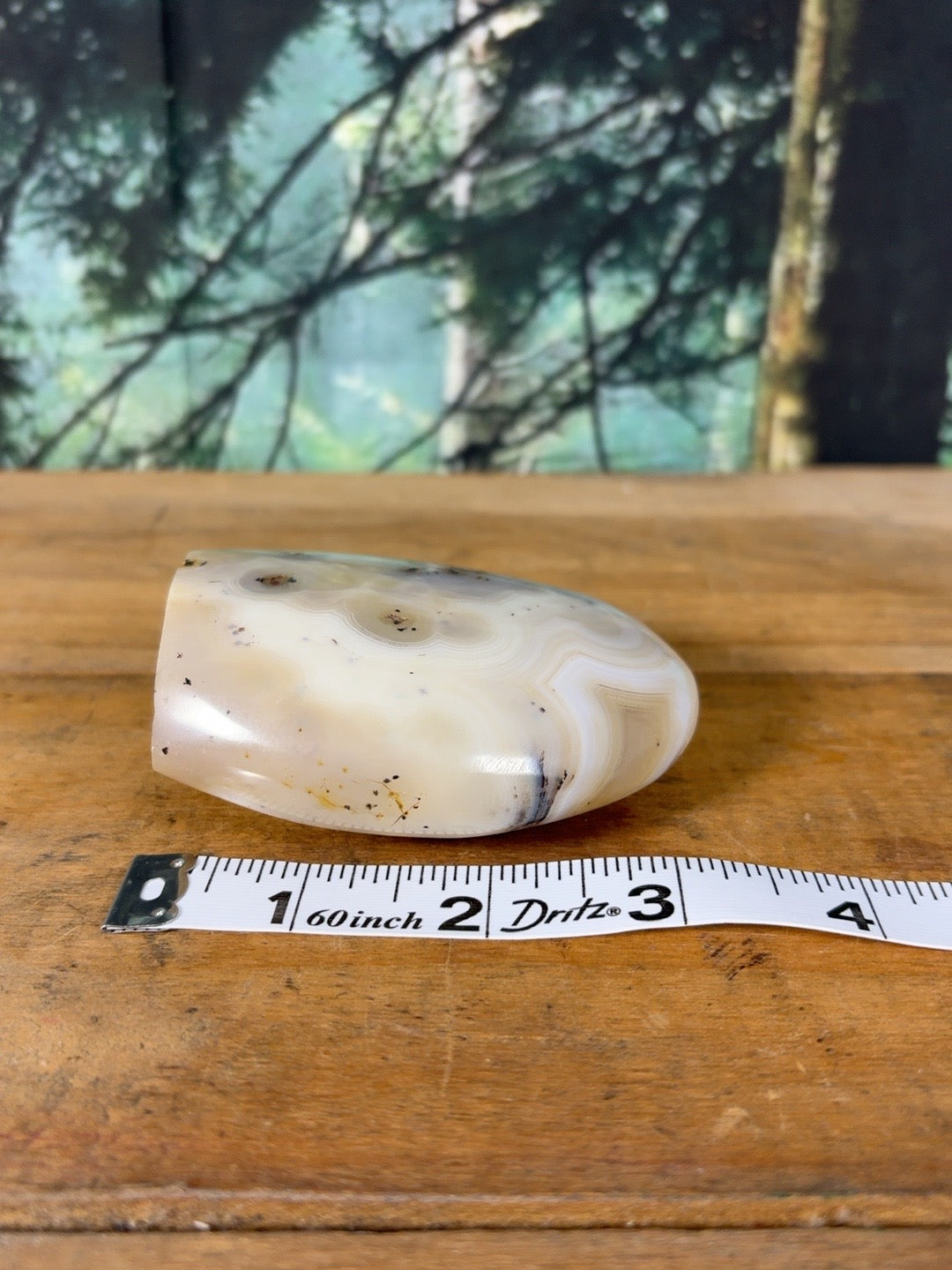 Cream orbicular dendritic agate freeform DAG-FR-003 view 8