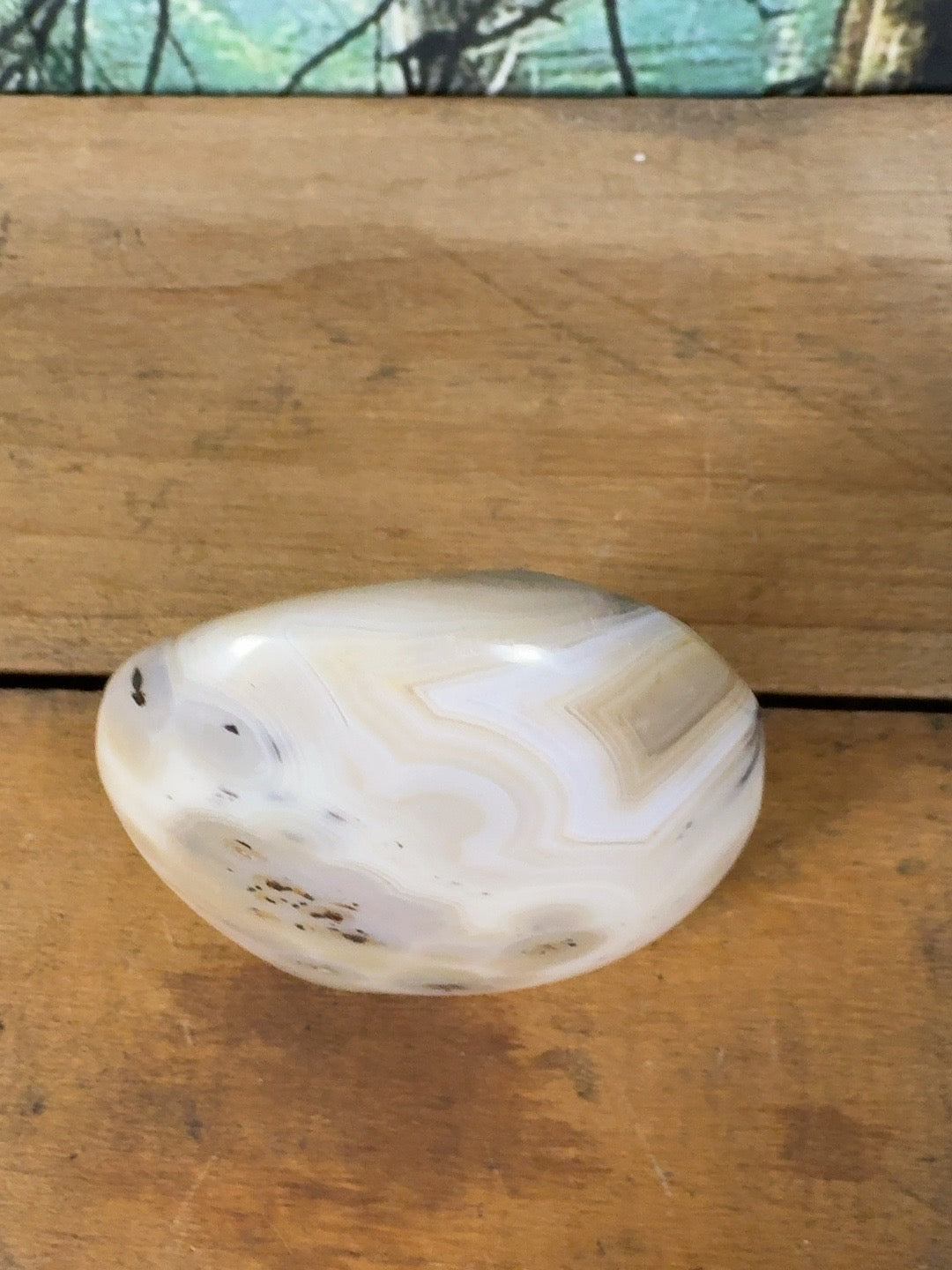 Cream orbicular dendritic agate freeform DAG-FR-003 view 9