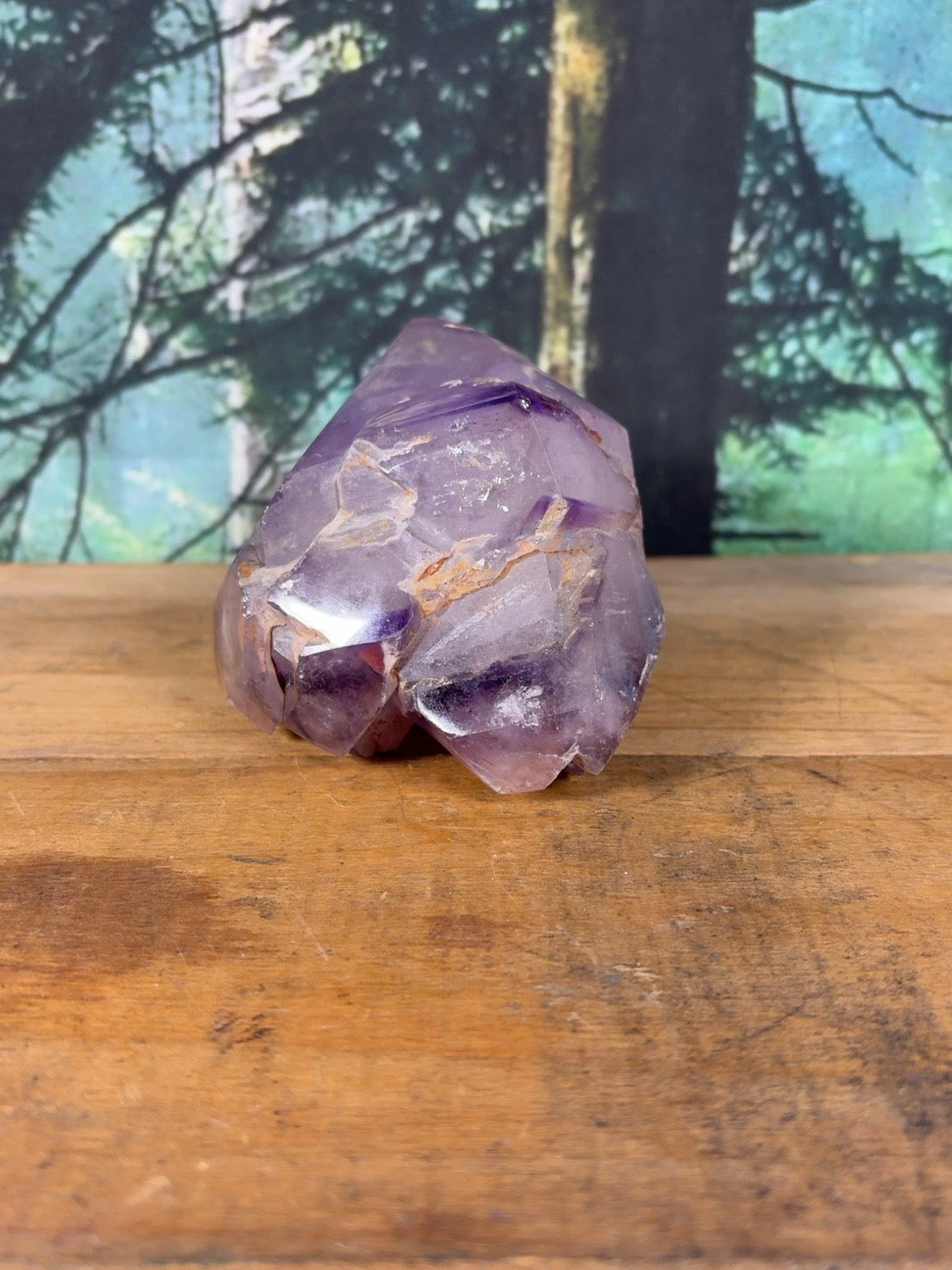 Large natural Amethyst crystal cluster side view with multiple points