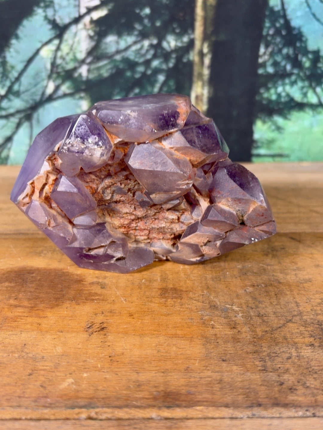 Amethyst cluster showing exposed reddish mineral matrix and crystal formation