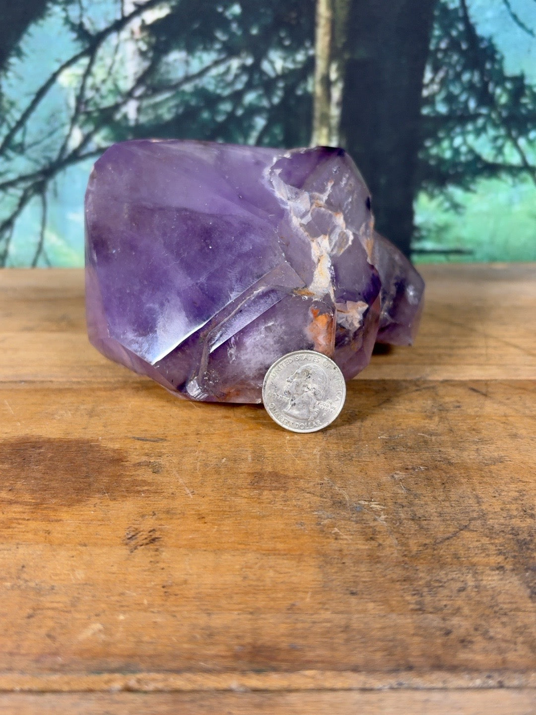 Large Amethyst multi-point cluster shown with quarter for scale