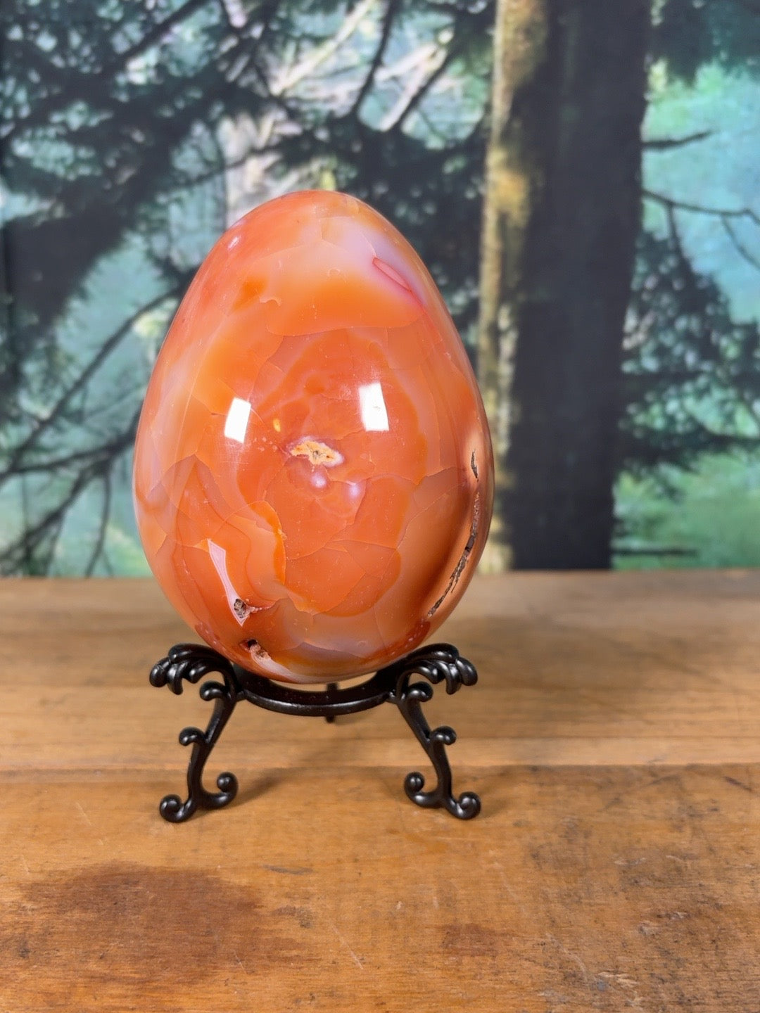 Large Carnelian Agate egg showing deep orange agate face