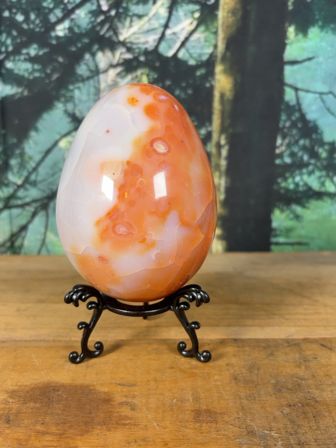 Large Carnelian Agate egg with natural eye formations and orange-white banding