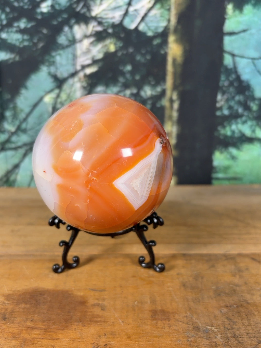 Large Carnelian Agate egg showing triangular banded agate detail