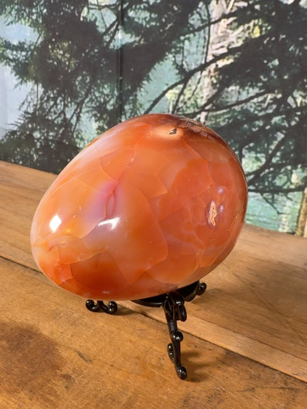 Large Carnelian Agate egg side view with natural surface features