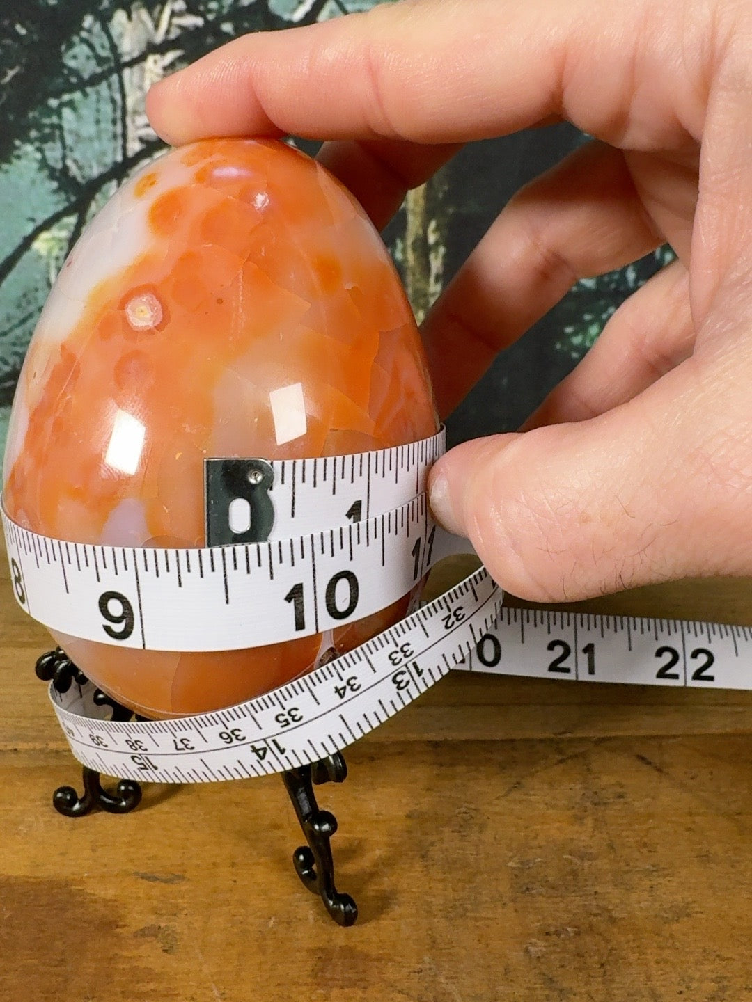 Large Carnelian Agate egg measurement view, approximately 10-inch circumference
