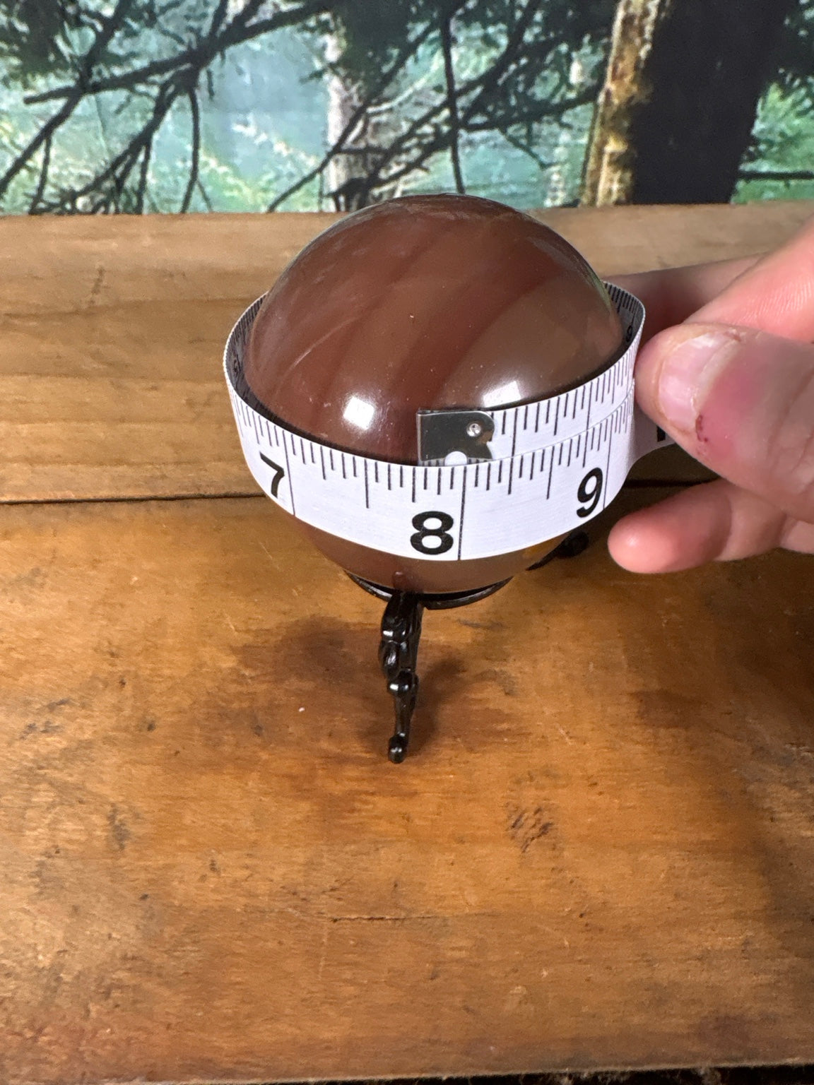 Chocolate Calcite sphere circumference measurement view