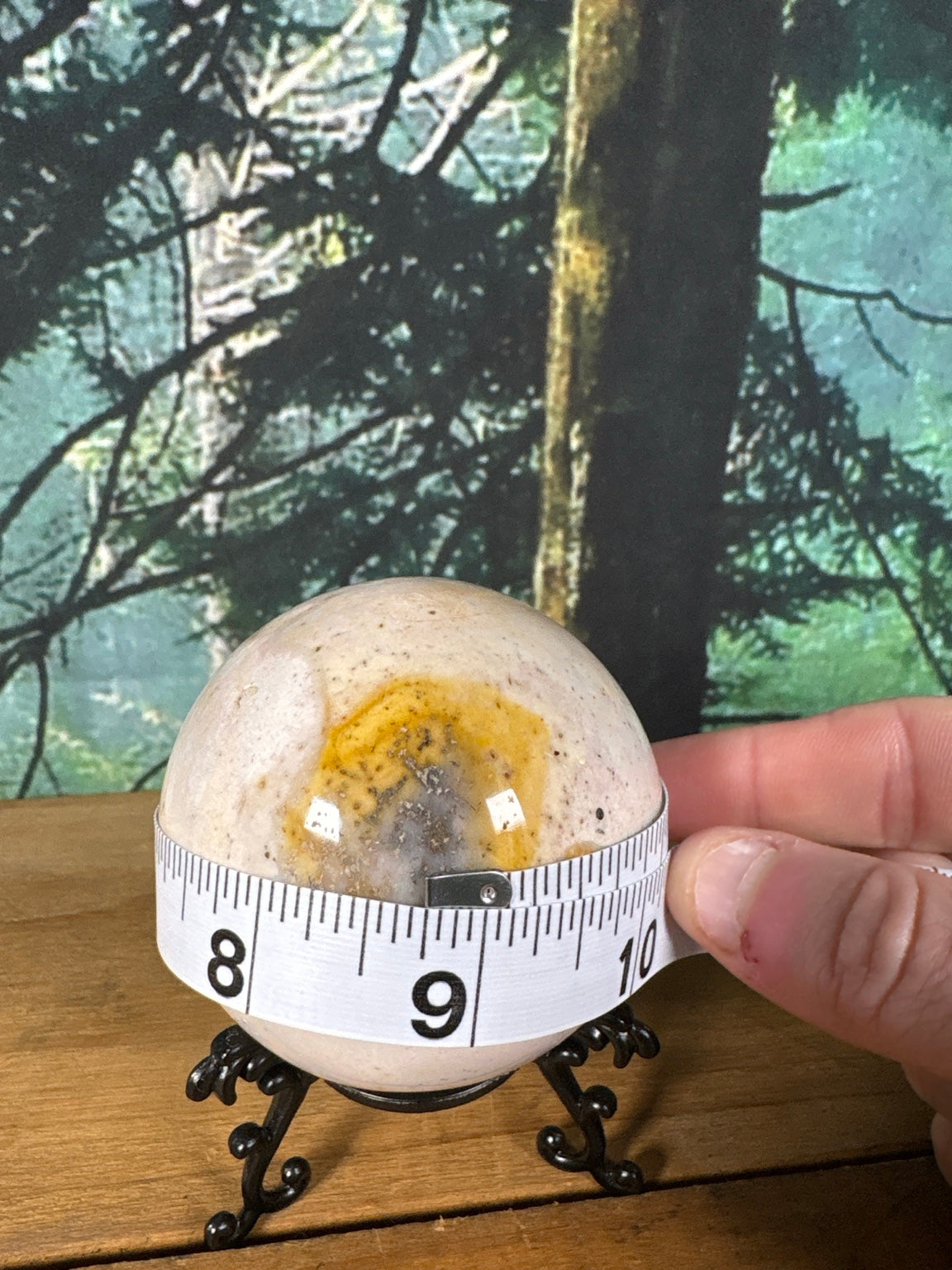 Ocean Jasper sphere circumference measurement view