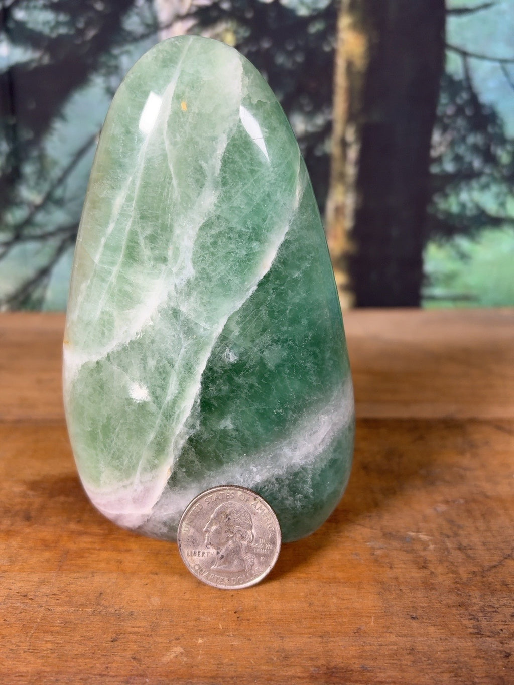 Green fluorite banded freeform, 1 lb 8.1 oz – view 5