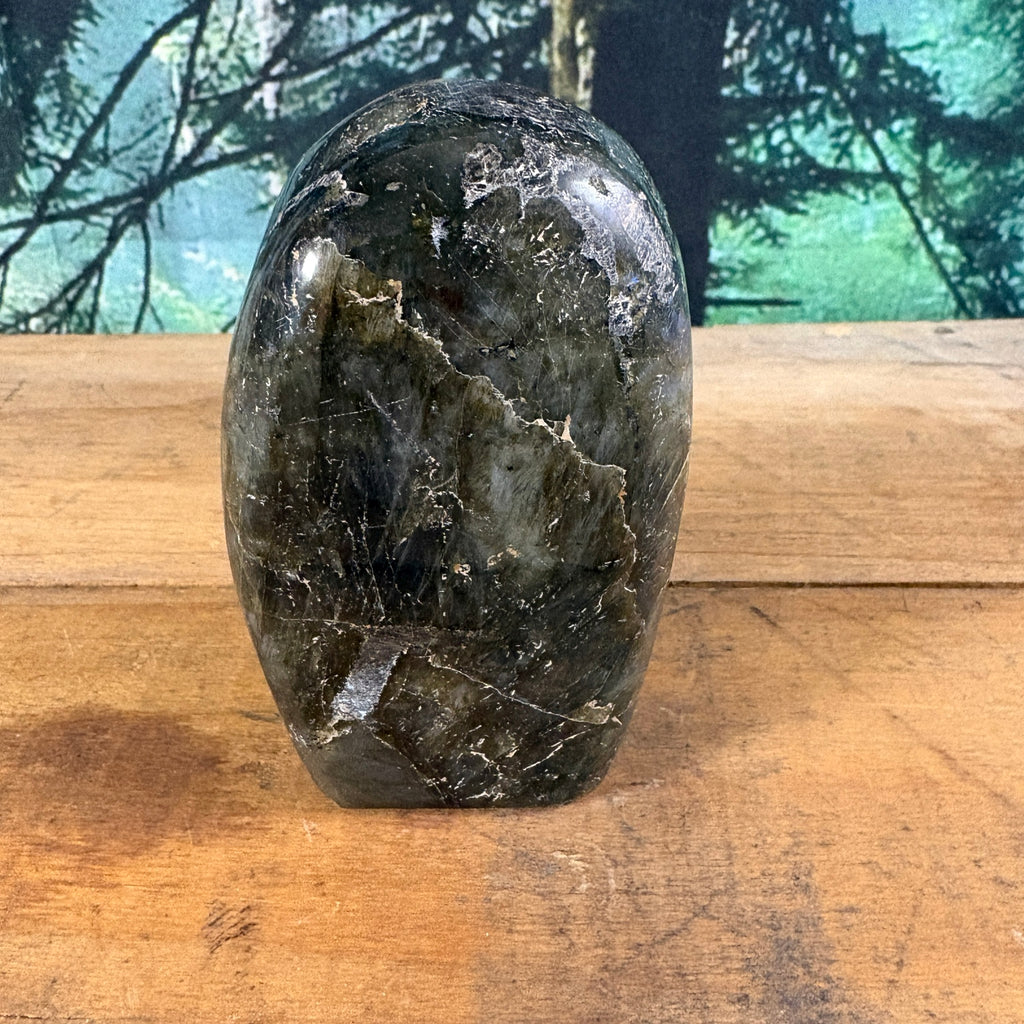 Large labradorite freeform back view
