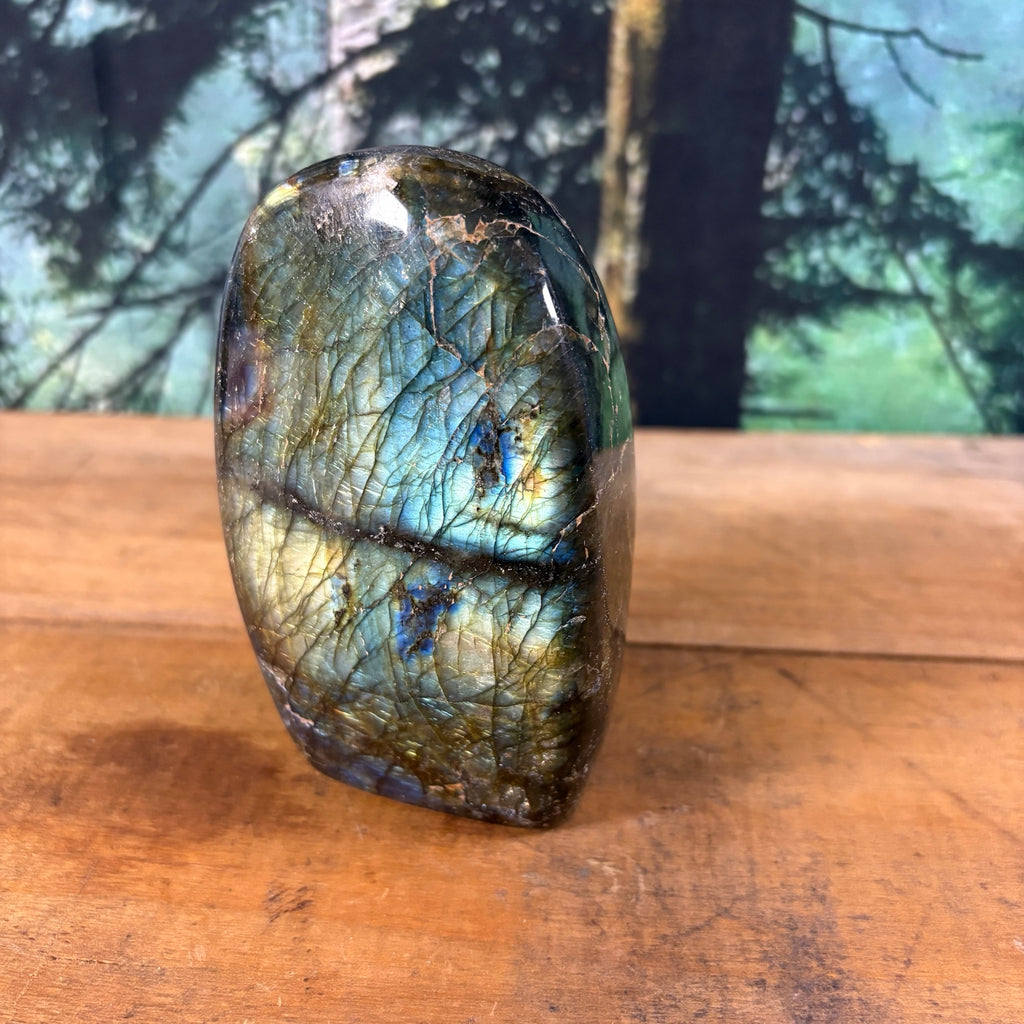 Large blue green and gold flash labradorite freeform front view
