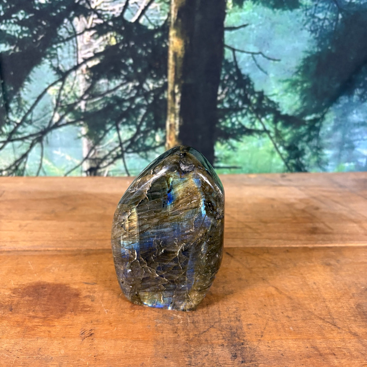 Rainbow flash labradorite standing freeform