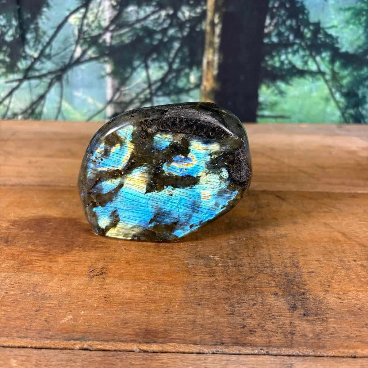 Electric blue and gold flash labradorite freeform front view