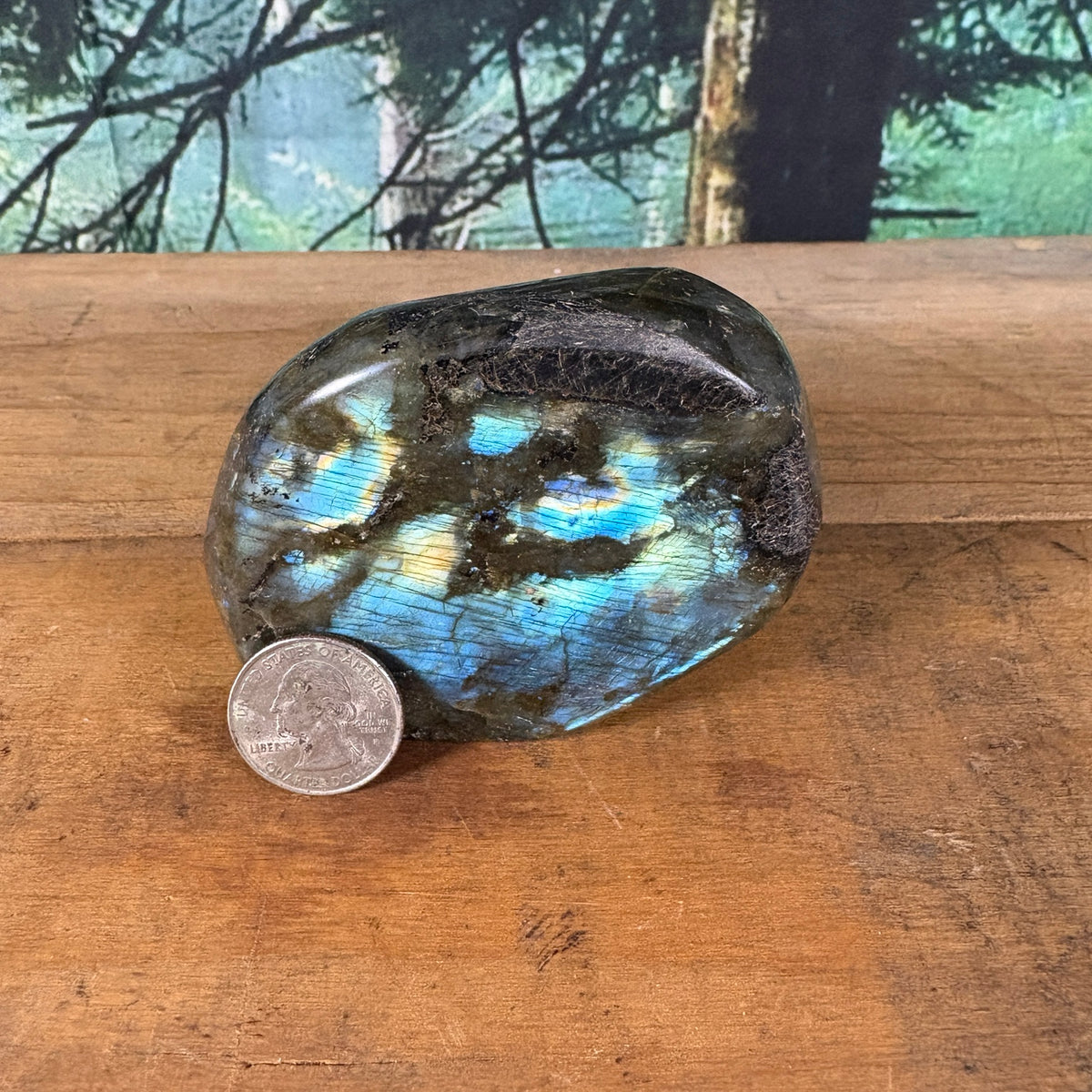 Electric blue flash labradorite freeform with quarter for scale