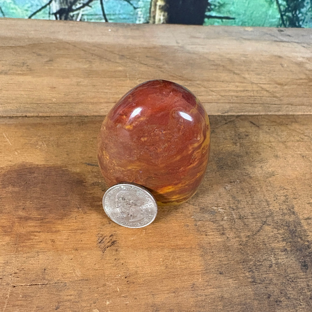 Mookaite jasper freeform with quarter for scale