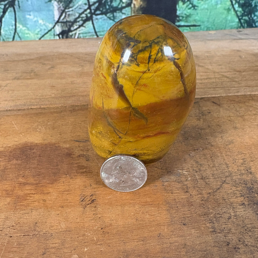 Mustard mookaite jasper freeform with quarter for scale