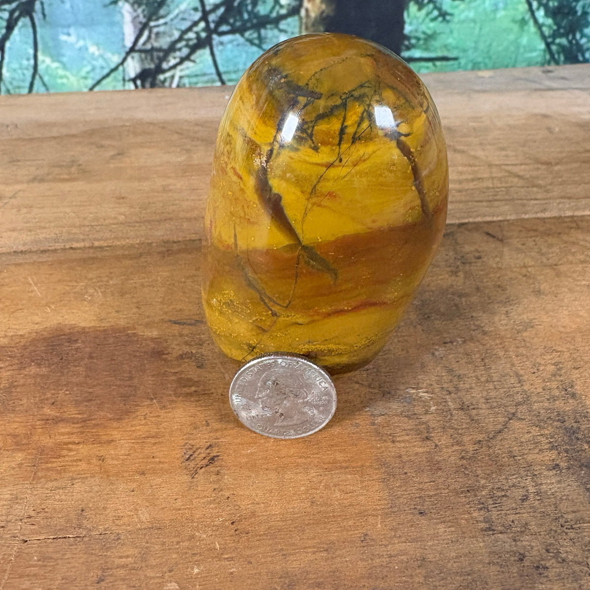 Mustard mookaite jasper freeform with quarter for scale