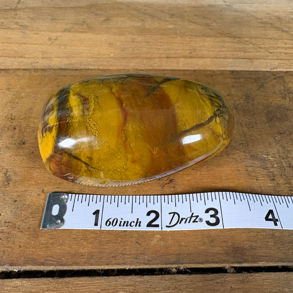 Mookaite jasper freeform width measurement