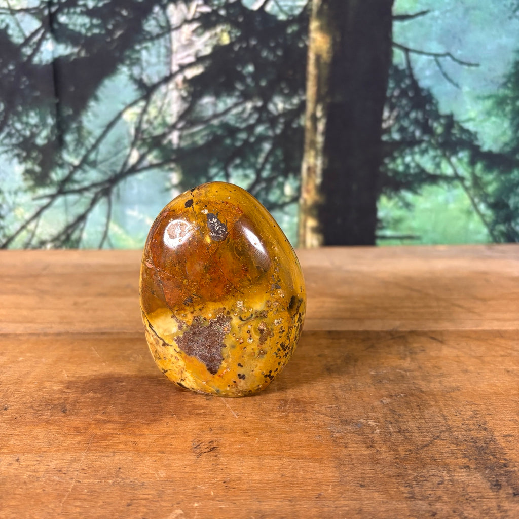 Orbicular mookaite jasper back view