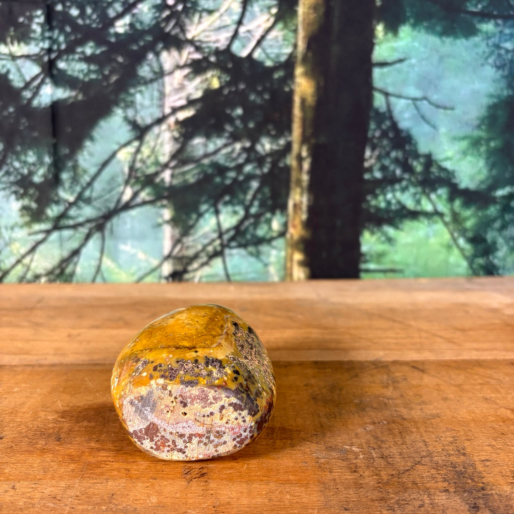 Mookaite jasper freeform base view