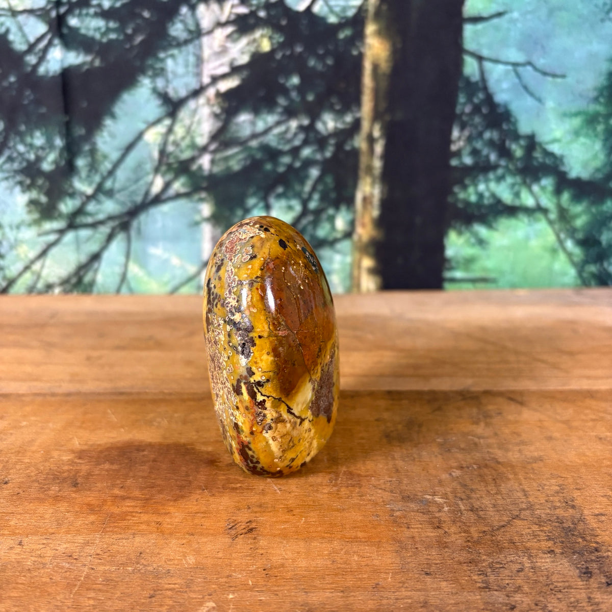 Mookaite jasper speckled matrix side view