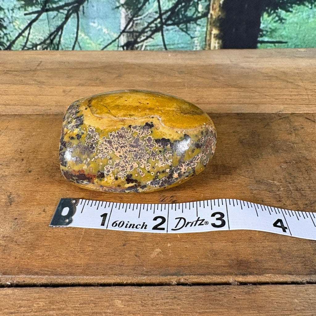 Orbicular mookaite jasper width measurement