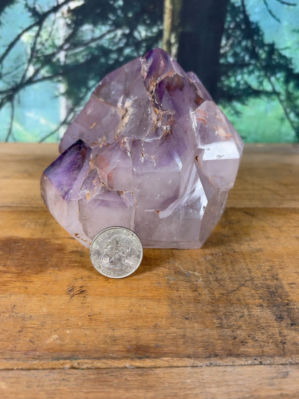 Polished amethyst crystal cluster shown with quarter for scale