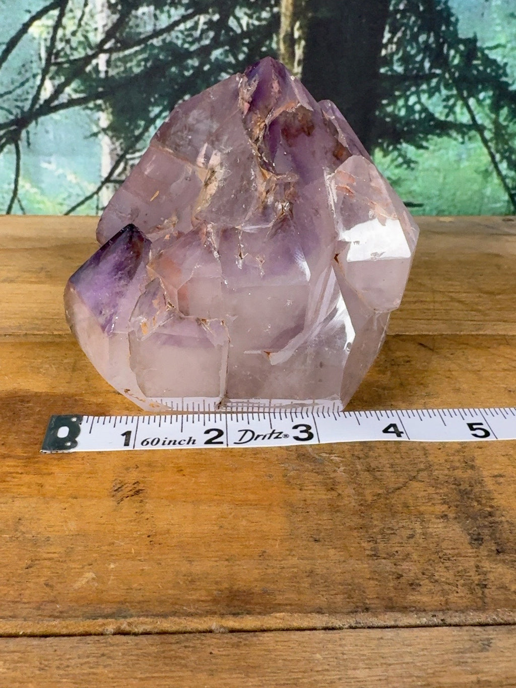 Large polished amethyst cluster with measuring tape for size